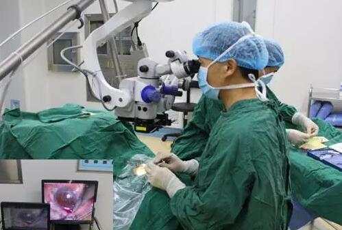 10月24日，成都牛八体育CO2激光辅助深层巩膜切除术培训会圆满落幕。本次培训会由成都牛八体育青光眼科主任、副主任医师胡建旗医生用猪眼为参会人员演示了CLASS手术全过程，并指导学员进行了实际操作，学员们纷纷表示手术操作简单易懂易学，.jpg