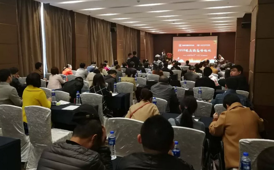 2018年3月3日，‘2018年 届眼底病高峰论坛’在西安曲江环球饭店拉开帷幕。此次高峰论坛由陕西省医学会主办，西安牛八体育承办。本次会议邀请到了黎晓新、王骞、惠延年、王雨生、王丽丽、赵燕麟、谢安明、刘涛、郑波、王海燕等数十位全国 眼科专家及教授，与现场150余名眼科同仁共聚一堂，进行学术分享及讨论，分享了眼科领域学术研究的新成果，为新年初始带来一场精致丰富的学术盛宴1.png