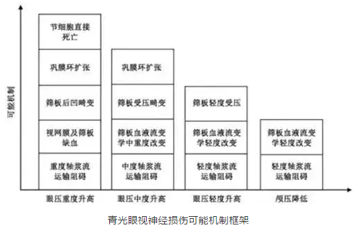 牛八体育学术课堂：眼颅压力梯度在青光眼视神经损伤机制中作用2.png
