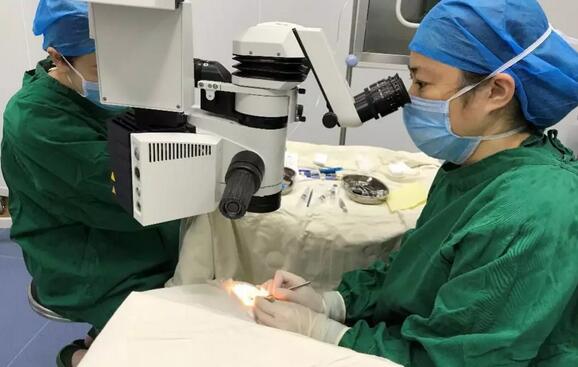 深圳牛八体育高度近视医生李春燕:潜心专注ICL,助力近视青年梦想起飞1.jpg 深圳牛八体育高度近视医生李春燕:潜心专注ICL,助力近视青年梦想起飞1.jpg