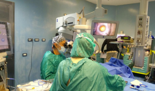 医生·医声——抚州牛八体育章晖:欧洲深造归来的80后院长,心之所向是当一名好医生1.png 医生·医声——抚州牛八体育章晖:欧洲深造归来的80后院长,心之所向是当一名好医生1.png